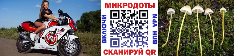 Галлюциногенные грибы мухоморы  мега ТОР  Сорск 