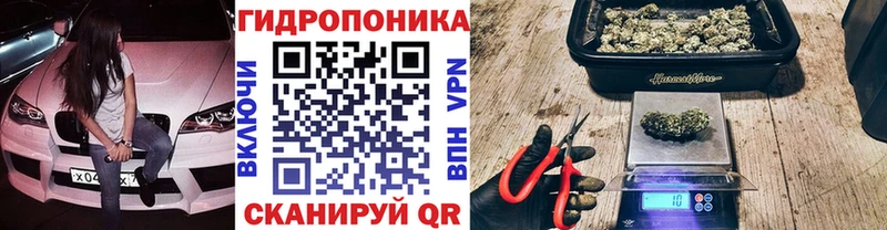 Марихуана тримм  купить наркотик  Сорск 
